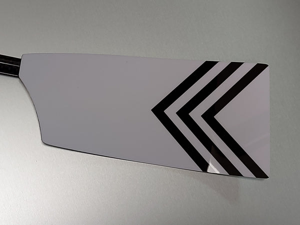 Dublin University Boat Club