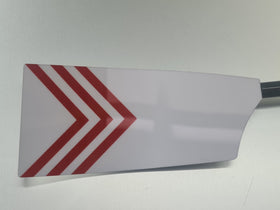 Southampton University Boat Club