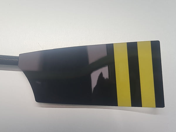 Sheffield University Rowing Club